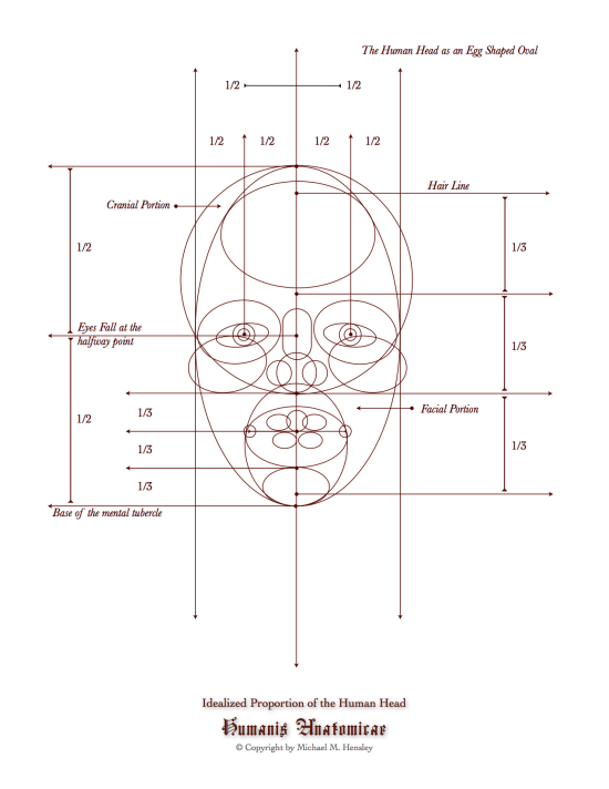 Idealized Proportion of the Human Head by Michael M Hensley